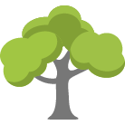 Saint Cloud Tree Removal