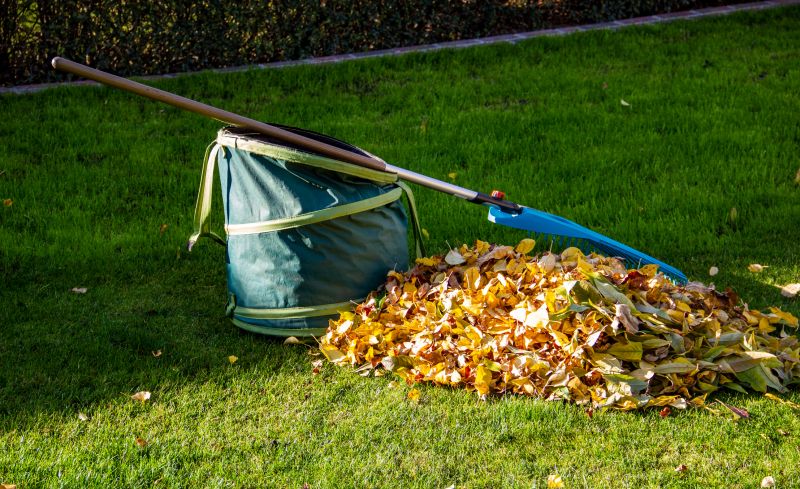 Leaf Collection Method