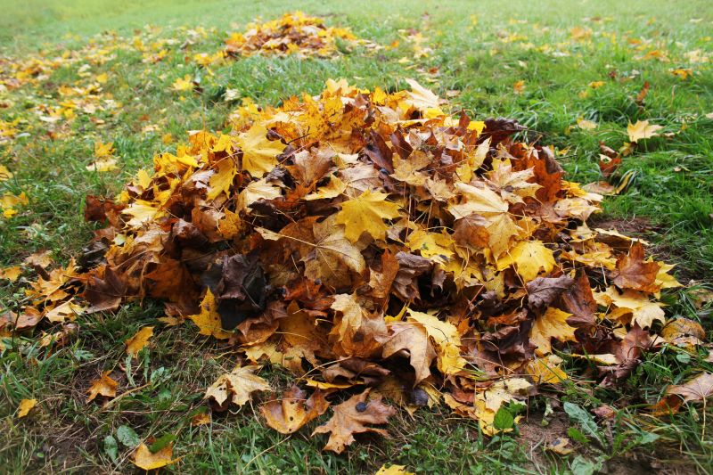 Seasonal Yard Care