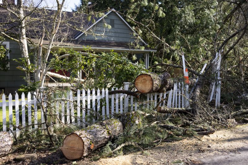 Commercial Property Tree Clearing