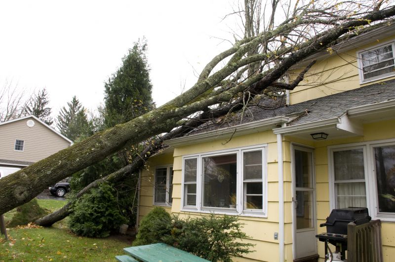 Storm Damage Scene