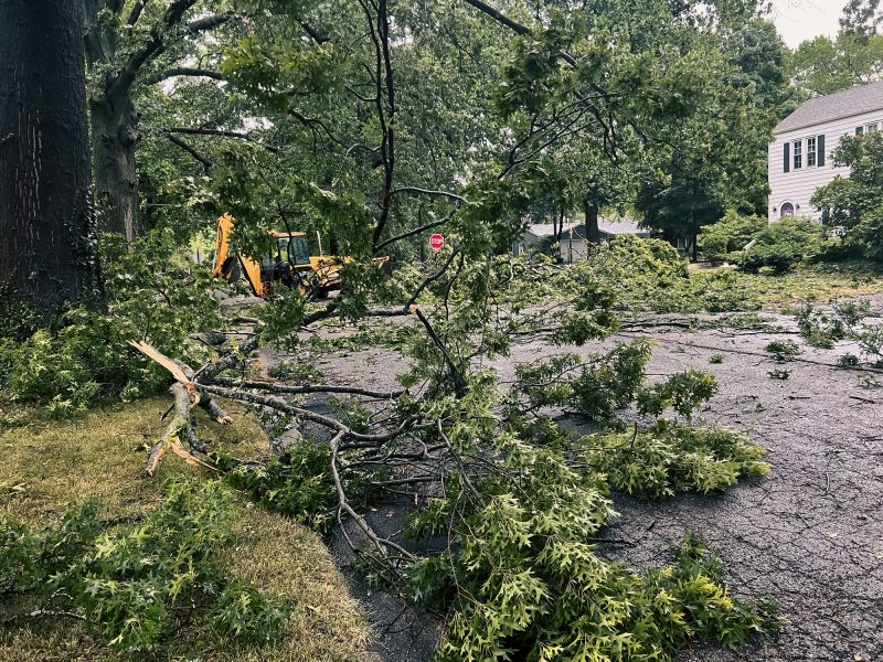 Assessment of Storm Damage