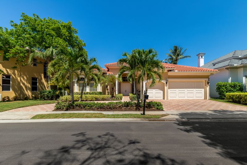 Palm Trees Removal