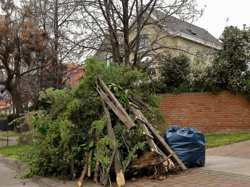 Disposal of Debris