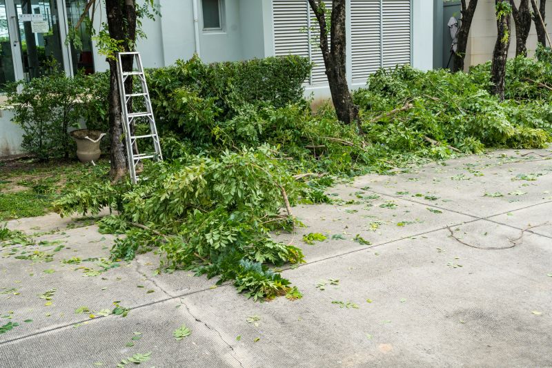 Landscaping Restoration