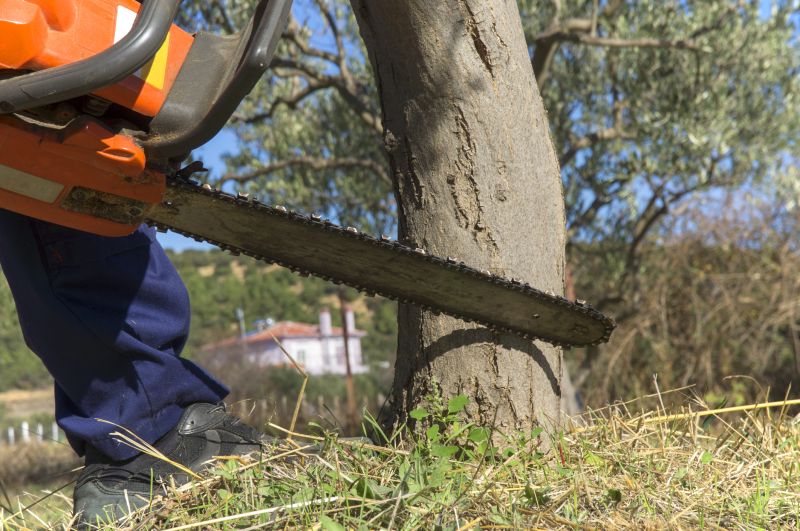 Tree Felling